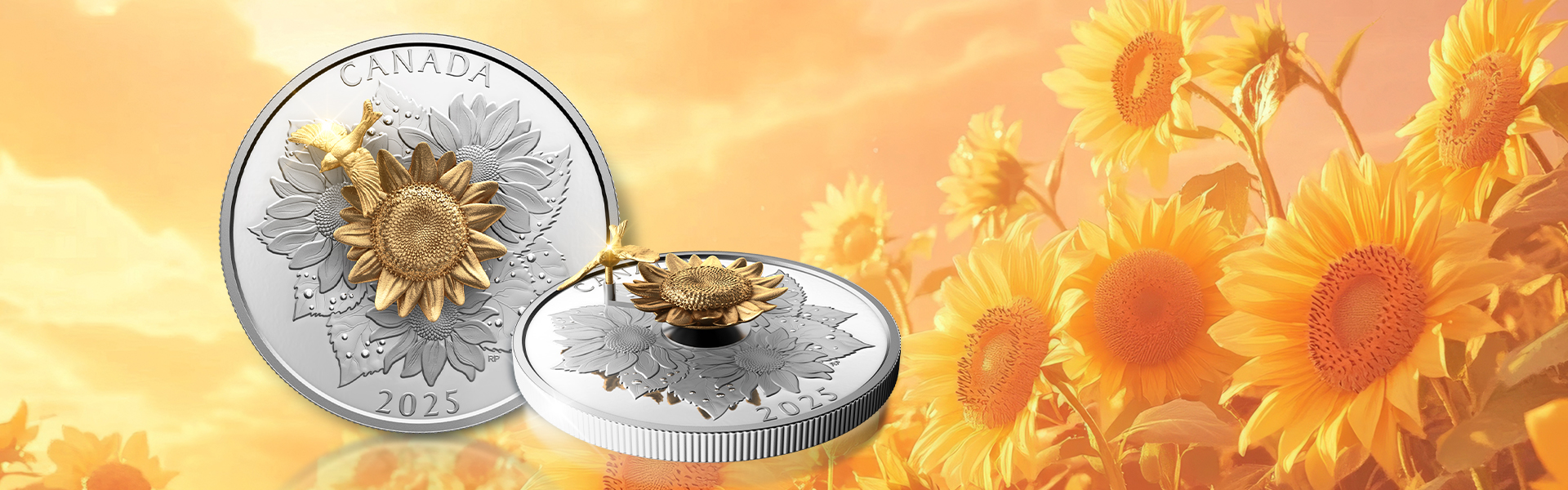 加拿大镀金精铸可转动银币